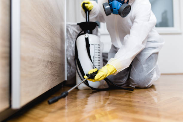Best Pest Prevention Services  in Bridgman, MI