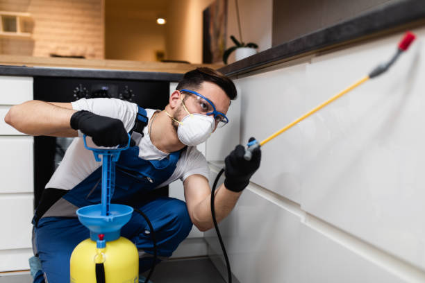 Best Best Pest Control Near Me  in Bridgman, MI