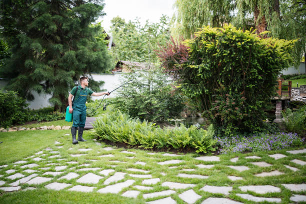 Best Exterminator Services  in Bridgman, MI