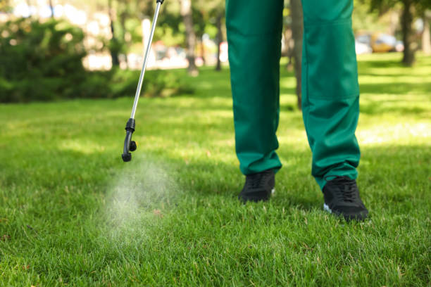Best Pest Control Near Me in Bridgman, MI