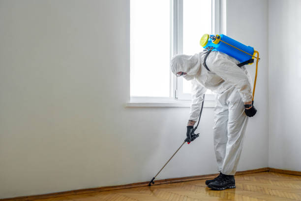 Best Emergency Pest Control  in Bridgman, MI
