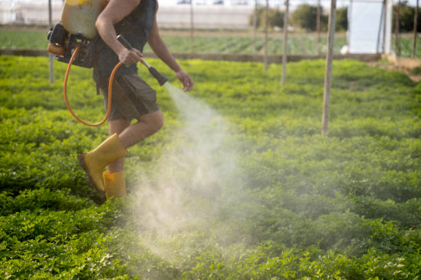 Best Pest Inspection Near Me  in Bridgman, MI