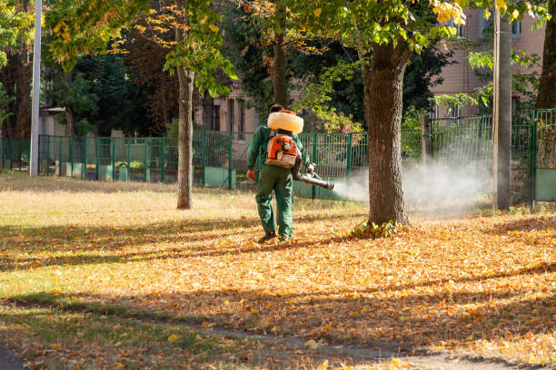Best Rat Extermination Near Me  in Bridgman, MI