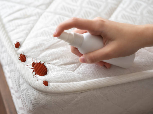 Reliable Bridgman, MI Pest Control Solutions