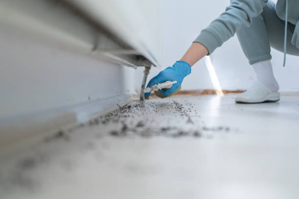 Best Pest Removal Services  in Bridgman, MI
